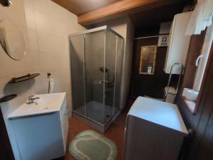 a bathroom with a shower and a sink at Leśna chatka in Wilga