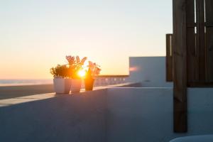 two potted plants sitting on a ledge with the sunset at Apartamentos Calypso in Punta Umbría