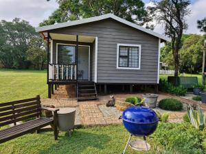a small house with a large blue object in the yard at Elmscote Cottages - Cabin 2 in Krugersdorp +7 photos