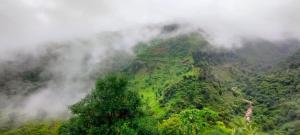 a misty mountain with trees in the middle at The Kempty Pool Retreat in Mussoorie