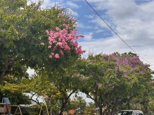 Gallery image of EL REY Hotel & Restaurant in Belmopan +69 photos