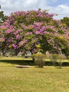 Gallery image of EL REY Hotel & Restaurant in Belmopan