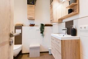 a bathroom with a sink and a toilet at Modernes Ferienhäuschen am Zeulenrodaer Meer mit Terrasse, Klimaanlage, 1 SZ, max 3 Gäste in Zeulenroda