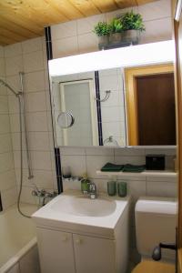 ein Badezimmer mit Waschbecken, Spiegel und Toilette in der Unterkunft Wohnung Steinbock Savognin in Savognin