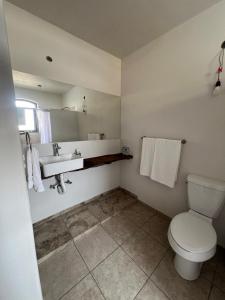 a bathroom with a toilet and a sink at Hotel El Desván Del Recuerdo in Atotonilco el Alto +11 photos