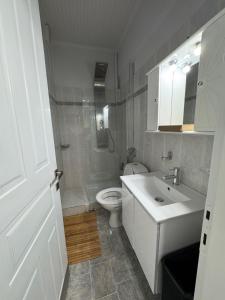 a bathroom with a white sink and a toilet at The Big apartment Papa Nero Pelion in Agios Ioannis Pelio +30 photos