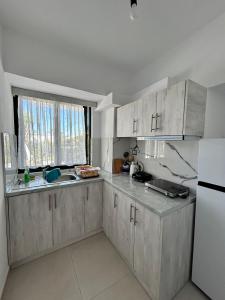 Kuchyň nebo kuchyňský kout v ubytování Petrefi Apartments