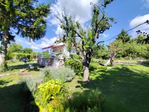 a house in the middle of a yard with trees at Paloznak Retrospektív in Paloznak