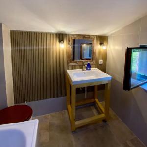 un bagno con lavandino e specchio di Villa Voss a Kravlja