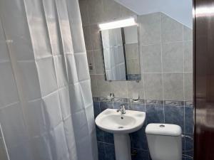 een badkamer met een wastafel, een toilet en een spiegel bij Апартамент за гости Николови in Vidin
