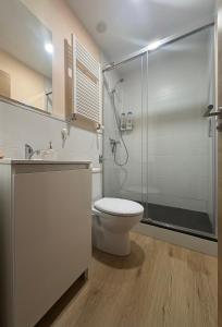 a bathroom with a toilet and a shower at Casa-Museo Genia Trigo in Sober +26 photos