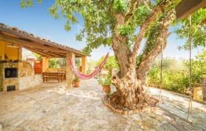 a house with a tree with a hammock under it at Casa vacanze La Posada in Partanna