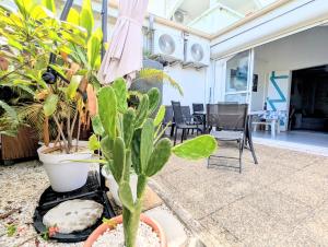 Αίθριο ή υπαίθριος χώρος στο Rêve Grenadine plage 200m jardin & terrasse