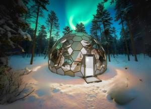 SKOG Aurora igloos semasa musim sejuk