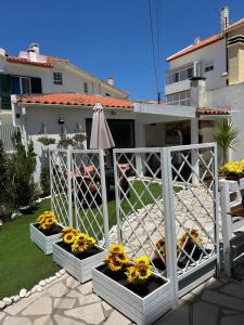 a bunch of flowers in pots on a patio at Casinha Alice in Nazaré