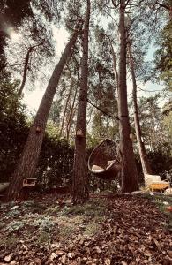 Zahrada ubytování Five Trees Forest Home