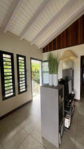 Televisyen dan/atau pusat hiburan di Villa la mahaudière vue mer