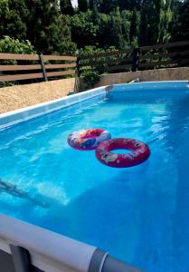 科布列季Seaside Cottage Buknari的游泳池里的两个游泳圈