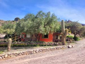 a house with a cactus in front of a dirt road at Casas de Juella -Juella-Tilcara in Tilcara +20 photos