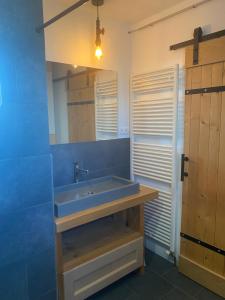 a bathroom with a sink and a mirror at Les Épinettes Appartement 6 in Prémanon +18 photos