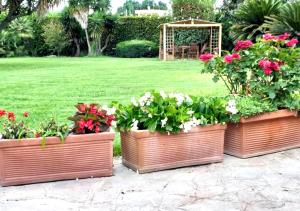 three pots of flowers in a garden with a gazebo at Fiumicino King's Guest House - Comfort Rooms in Fiumicino +33 photos