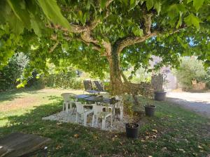 a table and chairs under a tree in a park at Appartement trois chambres avec jardin in Montboucher-sur-Jabron