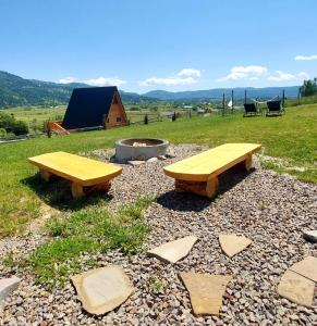 zwei Holzbänke auf einem Feld mit einer Feuerstelle in der Unterkunft Cozy Cube 1 - tiny house in Şarul Dornei + 46 Fotos