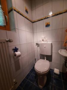 Koupelna v ubytování Ferienwohnung YogaHaus Berchtesgaden + 34 fotografií