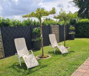 twee stoelen en een boom in een tuin bij Landhotel Stähle in Schüttorf
