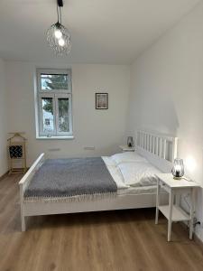Ένα ή περισσότερα κρεβάτια σε δωμάτιο στο Vila Fráňa apartmán 4