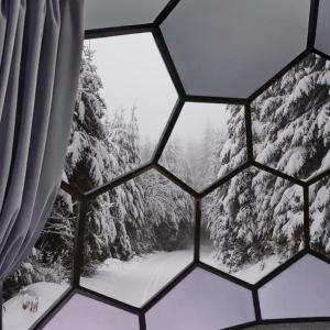 SKOG Aurora igloos semasa musim sejuk