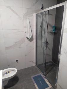 a bathroom with a shower and a toilet at Apartman Sofia Doboj in Doboj +1 photo