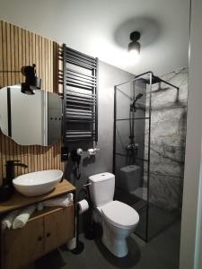a bathroom with a toilet and a sink and a shower at Góralski Zwyrt in Bukowina Tatrzańska +7 photos