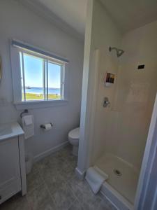 a bathroom with a shower and a toilet and a window at Hunts Point 1-BR Coastal Retreat - Cottage # 7 in Summerville Centre
