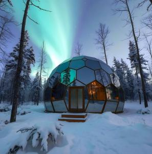 SKOG Aurora igloos semasa musim sejuk