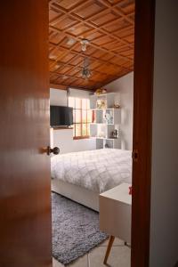 TV/trung tâm giải trí tại Gran Olivar Suite de San Isidro -3 Habitaciones