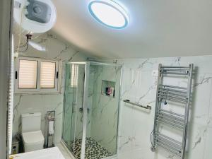 a bathroom with a shower and a toilet and a mirror at Albi guests House Tirana in Tirana +14 photos
