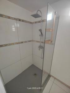 a shower with a glass door in a bathroom at Studio XL 4 places in Ducos +5 photos