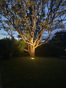 Ảnh trong thư viện ảnh của Blaue Lagune-Ferien mit Stil ở Hard