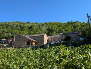 a group of buildings on a hill behind a vineyard at Le Mas Franc in Enveitg