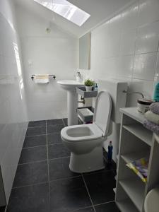 a white bathroom with a toilet and a sink at Apartman Ivy in Premantura +8 photos