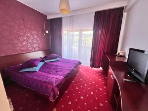 Gallery image of Pensiunea Casa Pădurii Slanic PRAHOVA in Grosani