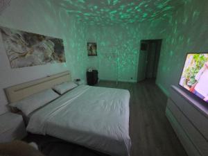 a green room with a bed and a tv at Apartments Angels o k b in Altenburg