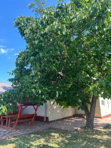 Zahrada ubytování Diána-Vendégház