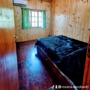 Foto de Flores de Lapacho