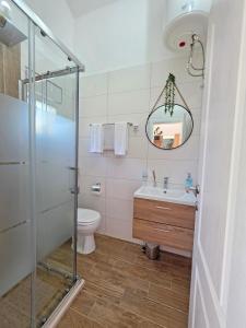 a bathroom with a shower and a sink and a toilet at Sunny Side Apartments in Rijeka Crnojevića