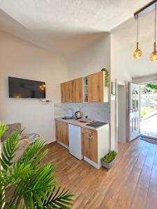 a kitchen with a sink and a counter at Sunny Side Apartments in Rijeka Crnojevića +51 photos