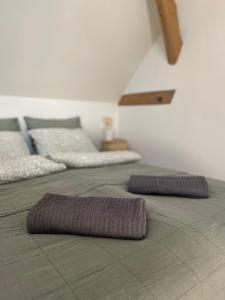 Ένα ή περισσότερα κρεβάτια σε δωμάτιο στο Apartament 2 Wiosła