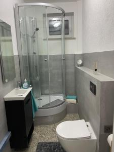 a bathroom with a shower and a toilet and a sink at Am Waldrand in Attendorn