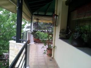 Gallery image of Vicente House in Skala Rachoniou